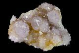 Cactus Quartz (Amethyst) Crystal Cluster - South Africa #137776-1